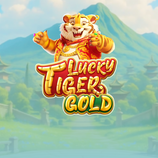 Lucky Tiger Gold